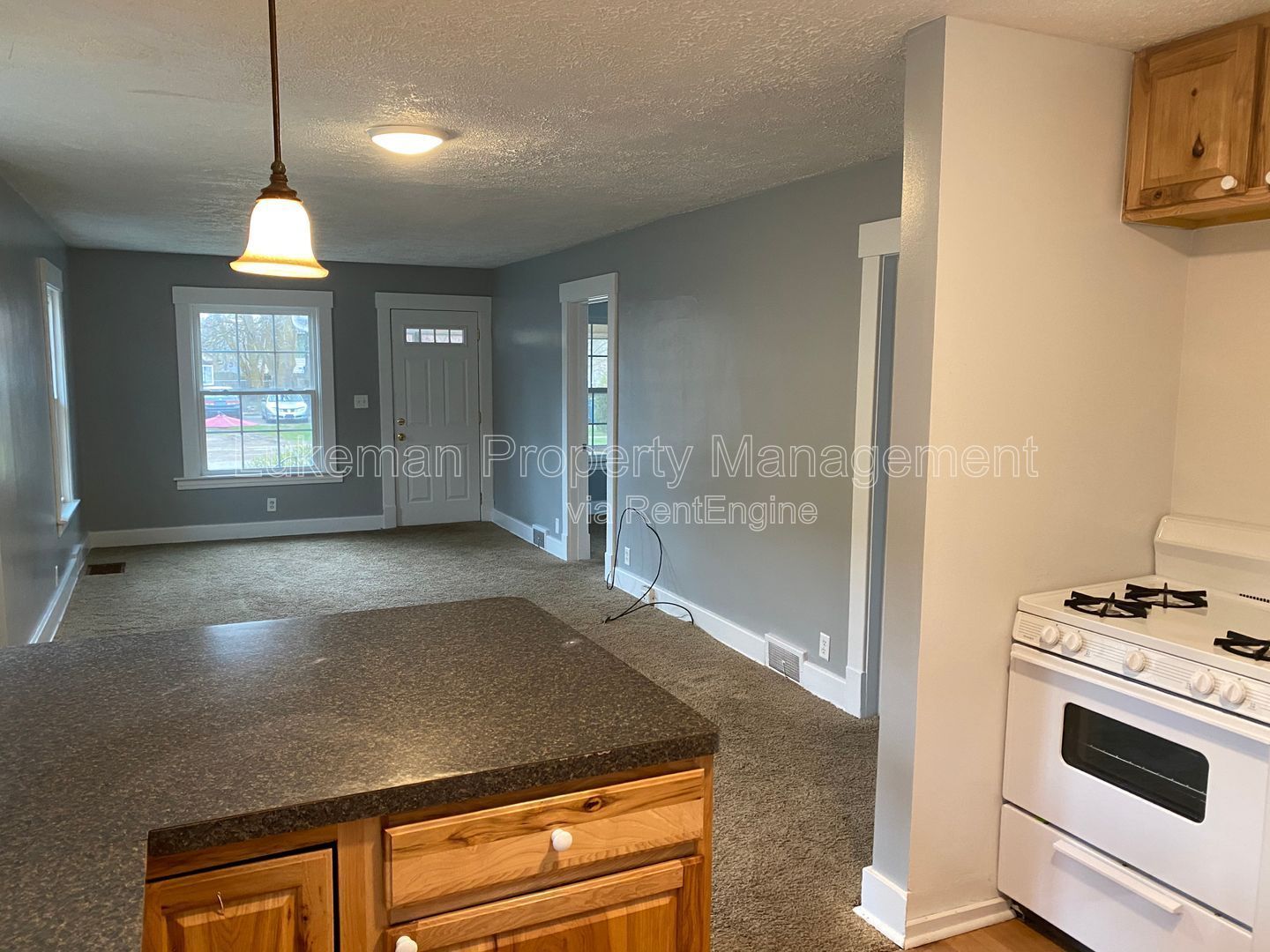 117 Nelson - 2 Bed/1 Bath Near WMU/K-College property image